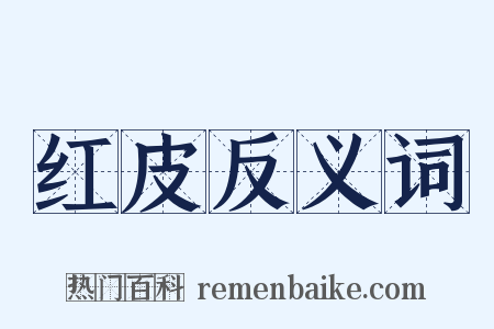 红皮反义词是什么意思的图片